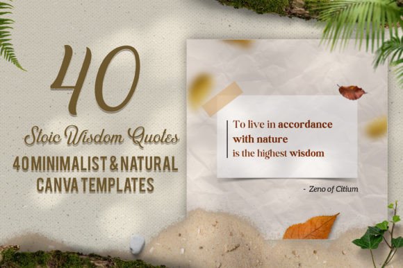 Download 40 Minimalist &amp; Natural Canva Templates - Canva Collection